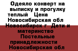 Одеяло-конверт на выписку и прогулку теплый › Цена ­ 1 000 - Новосибирская обл., Новосибирск г. Дети и материнство » Постельные принадлежности   . Новосибирская обл.,Новосибирск г.